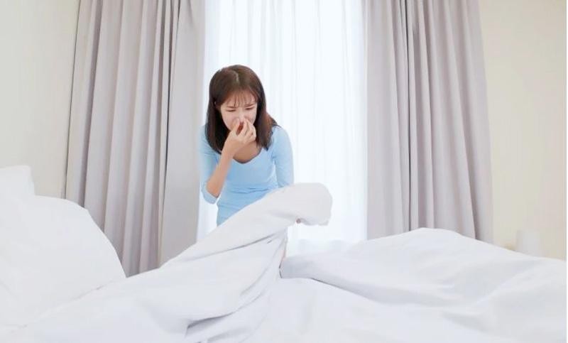 1 تشک خوشخواب نو